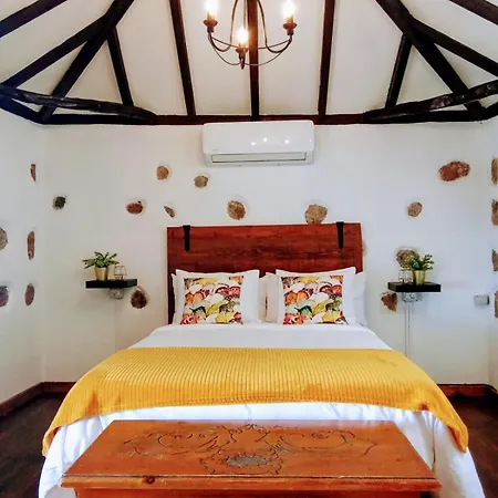 La Garrocha I Hébergement de vacances Icod De Los Vinos